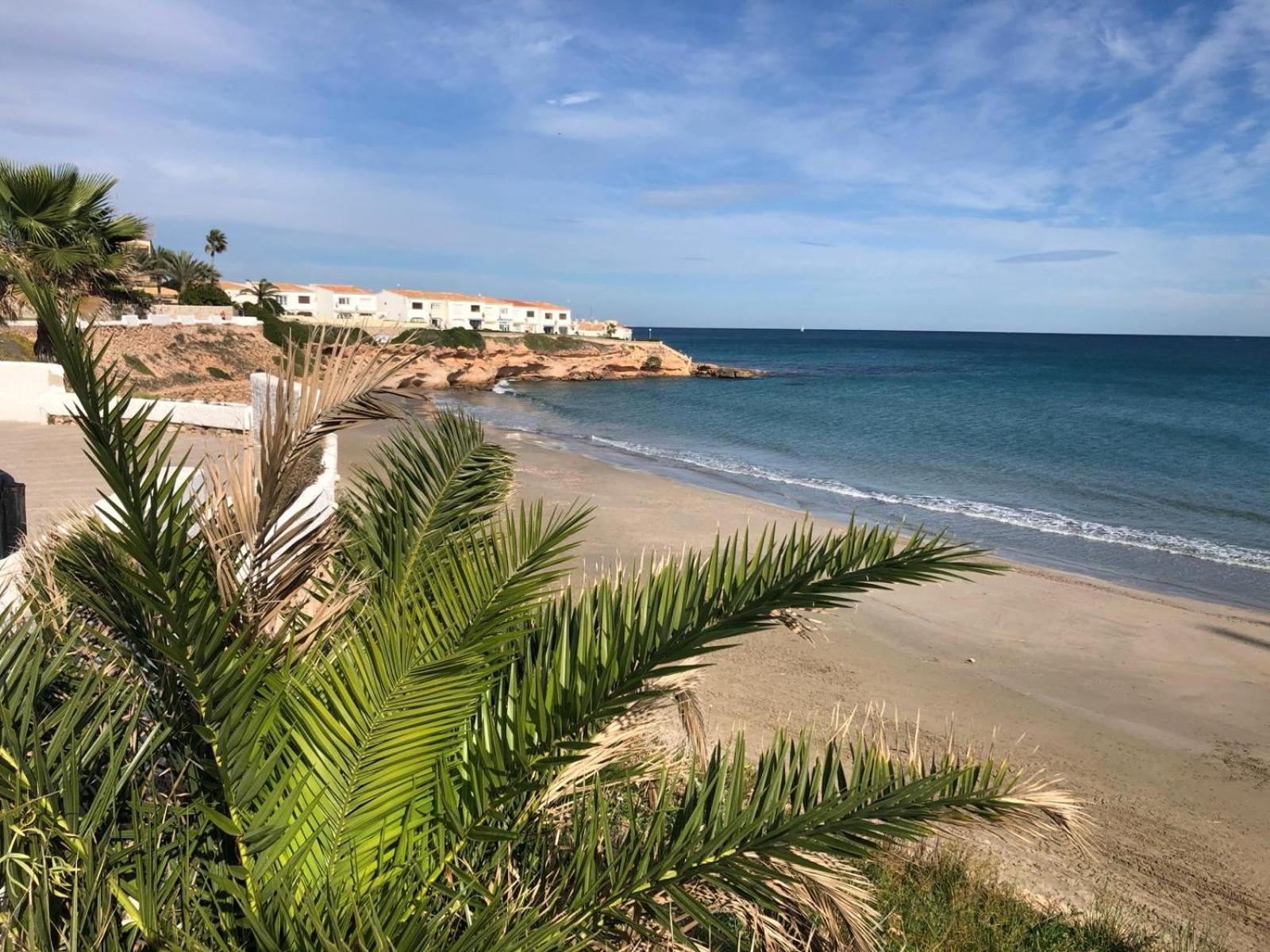 Palmview Poolside Heaven in Turquesa del Mar