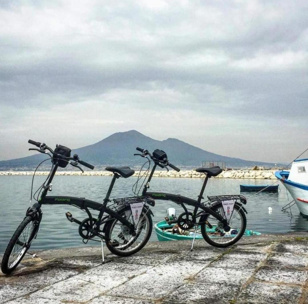 STABIA COAST