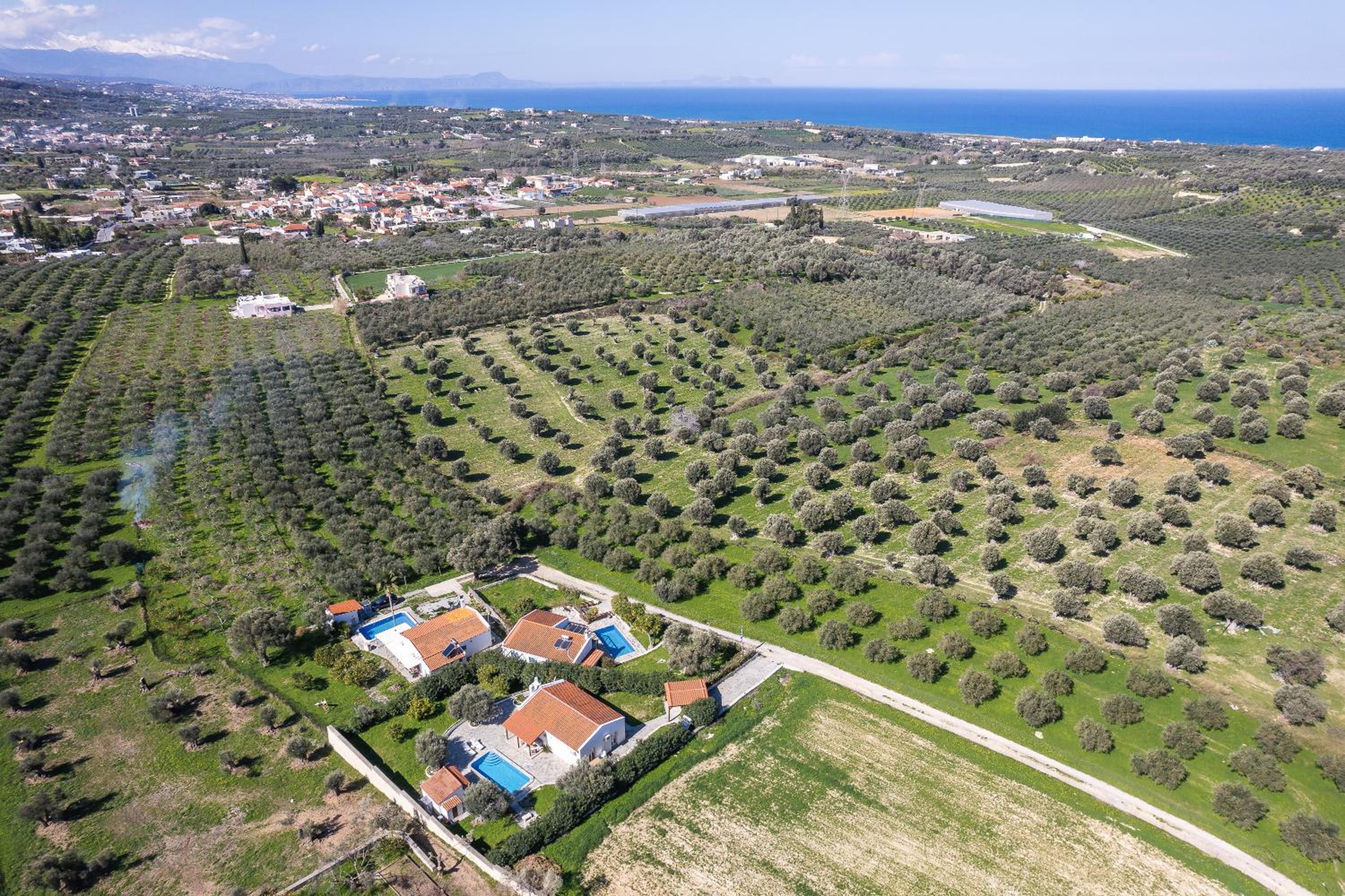 Villa Fig and Olive