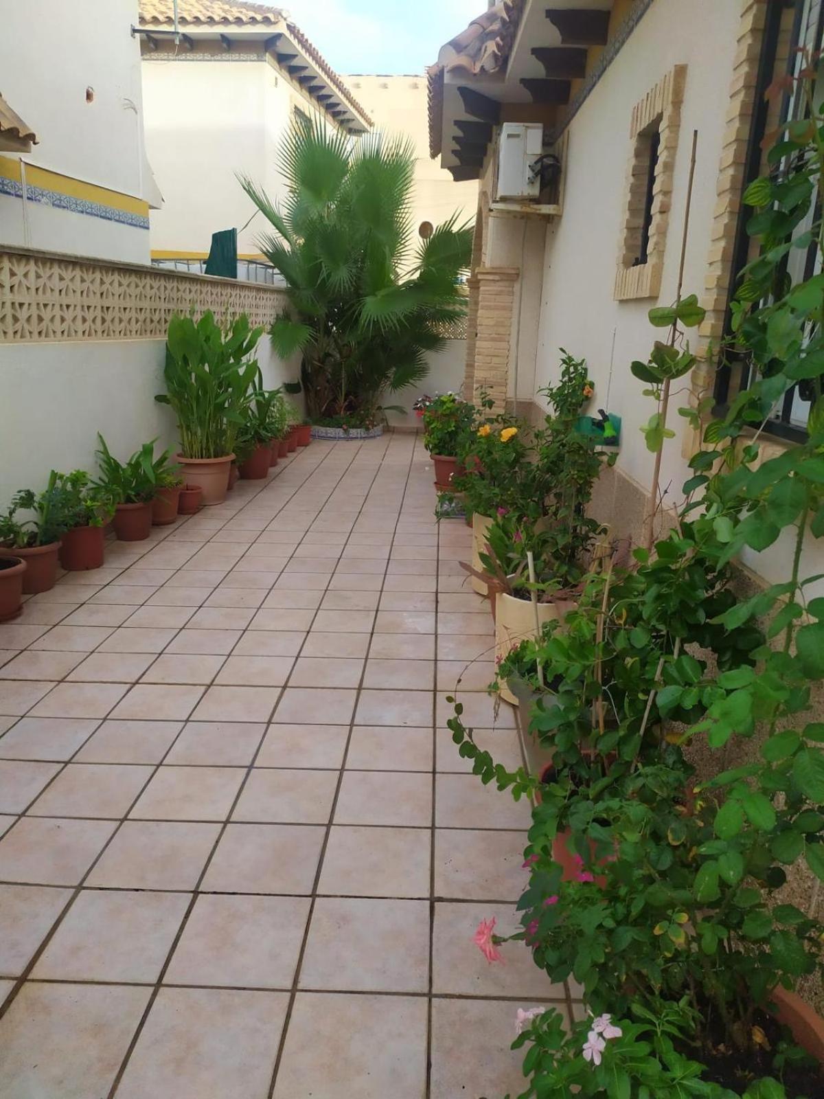 Se alquila un chalet en torrevieja