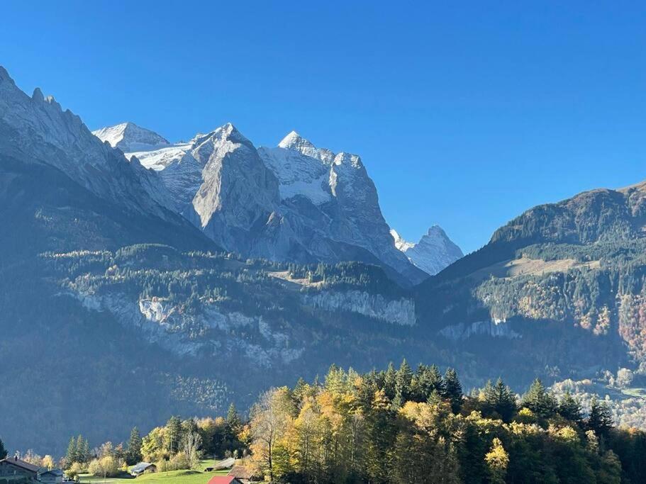 Ferienwohnung im Chalet Bergruh - Hasliberg Reuti