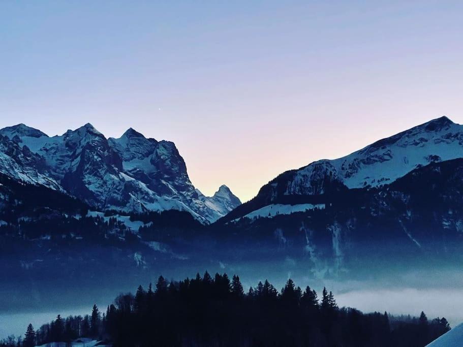 Ferienwohnung im Chalet Bergruh - Hasliberg Reuti