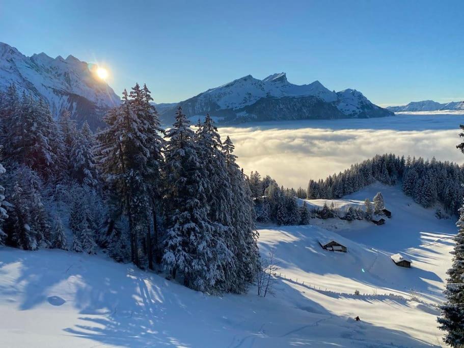 Ferienwohnung im Chalet Bergruh - Hasliberg Reuti
