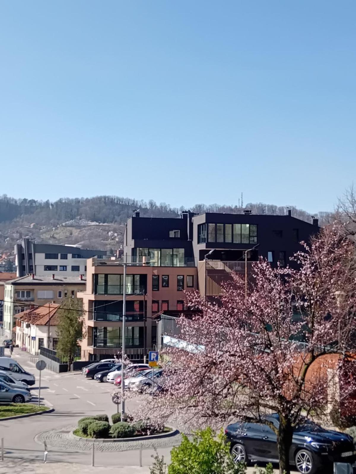 AS apartman Panonica