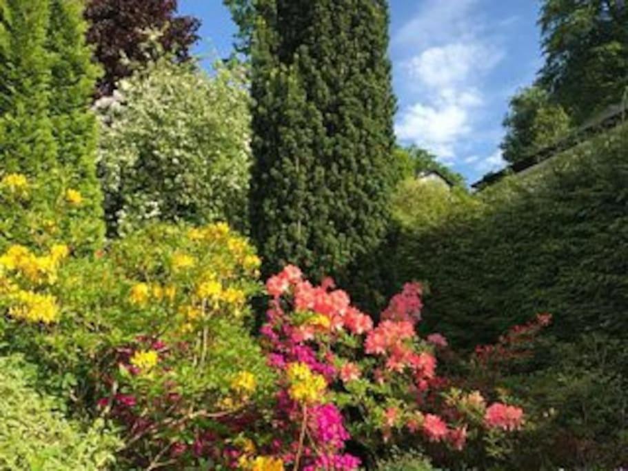 Winterfell Cottage Gorgeous Garden, Great Location