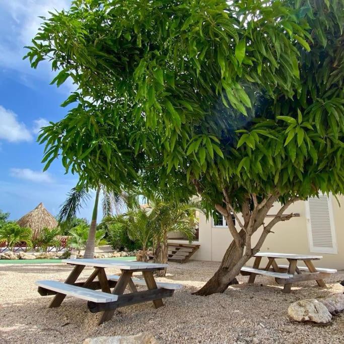 Vakantiehuisje Curacao-Casa Pura Vida