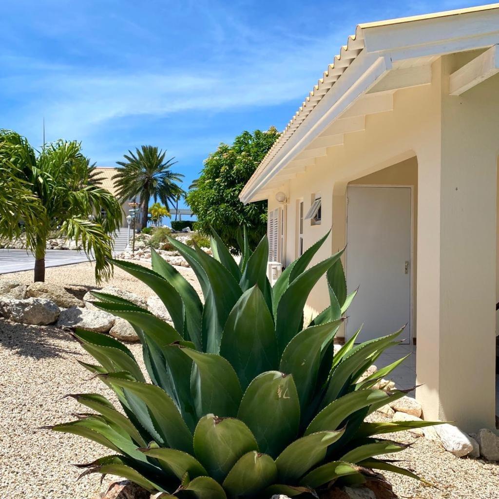 Vakantiehuisje Curacao-Casa Pura Vida
