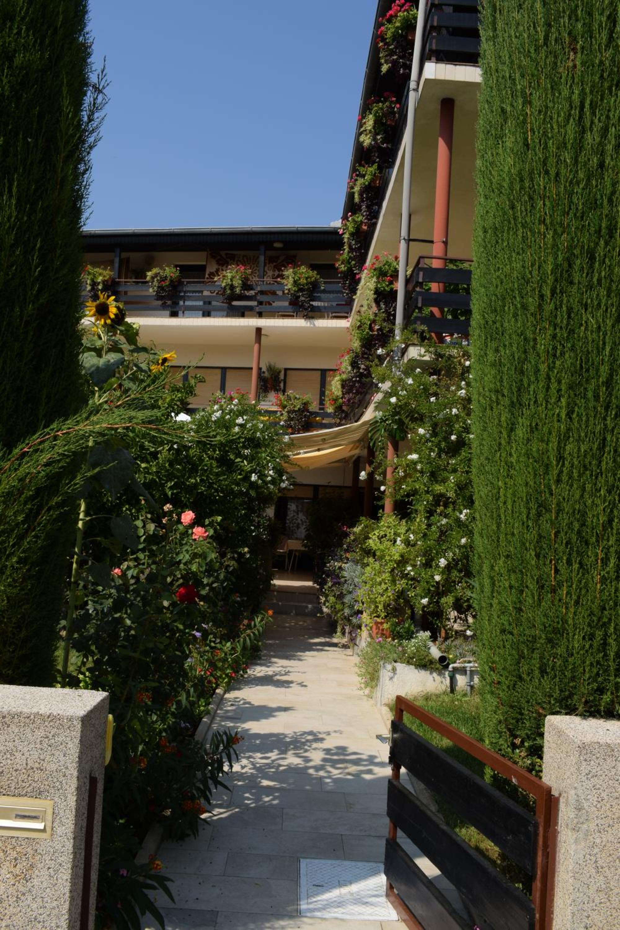 Photo 40