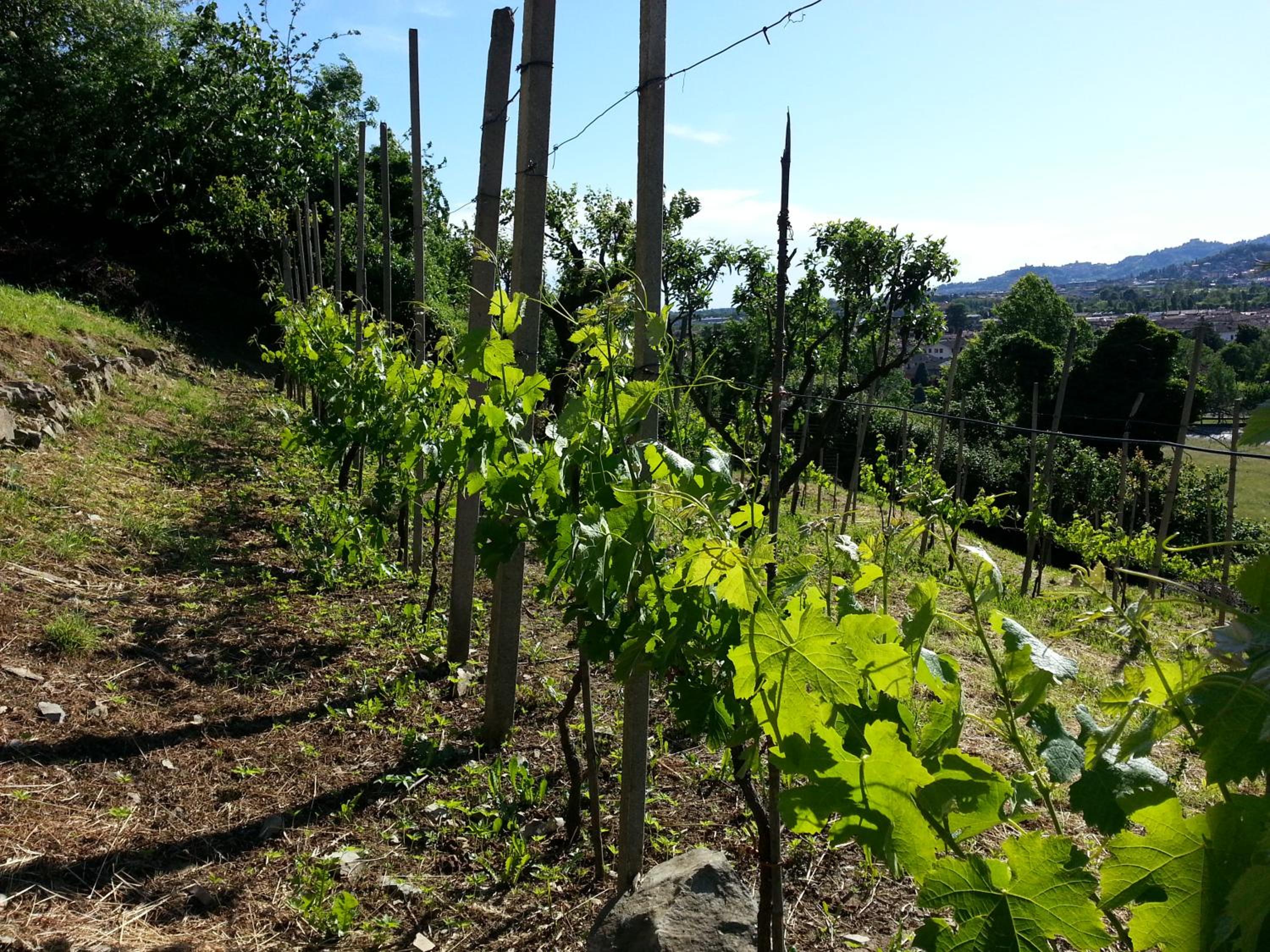 Photo 41