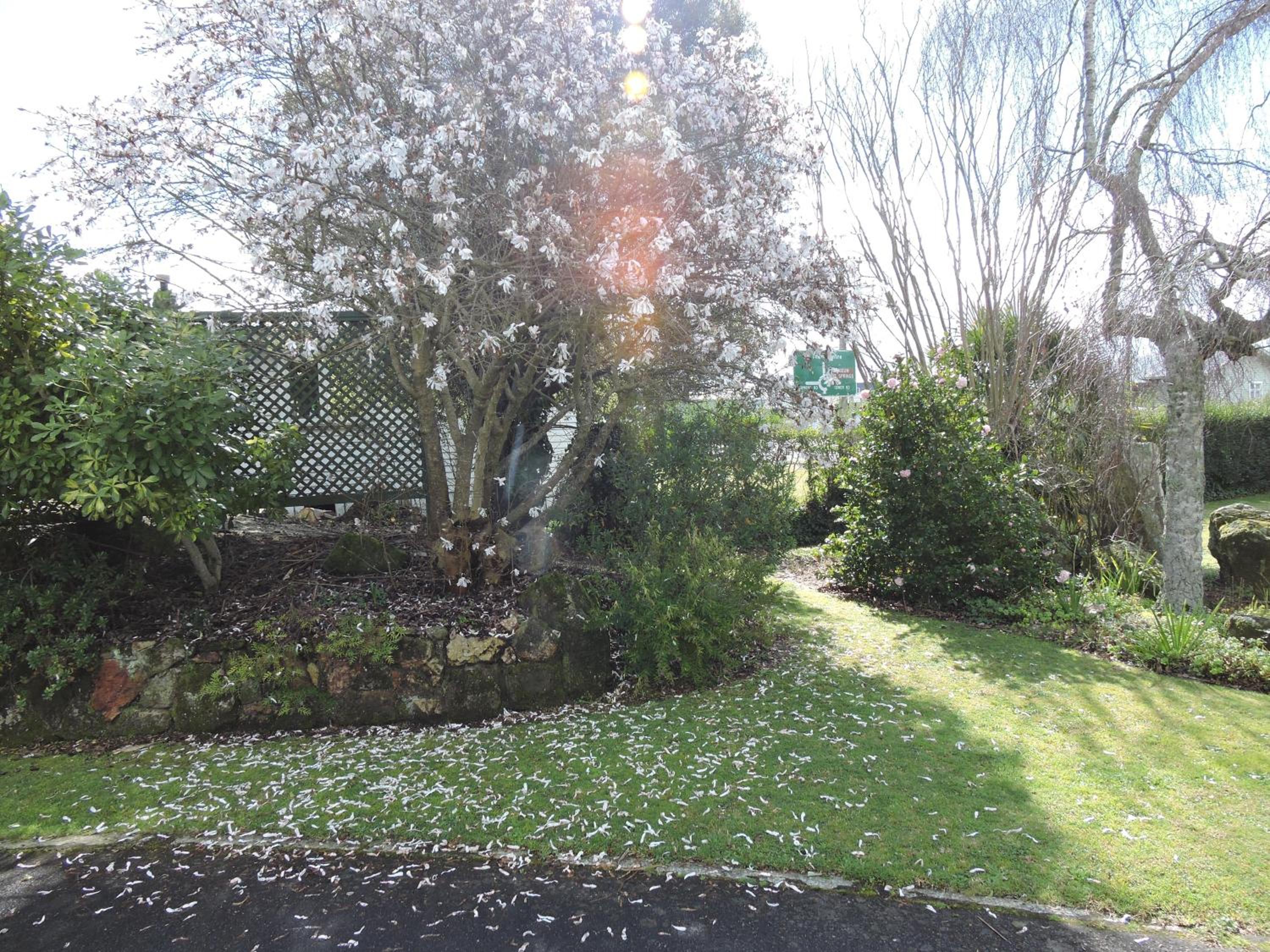 Photo 28