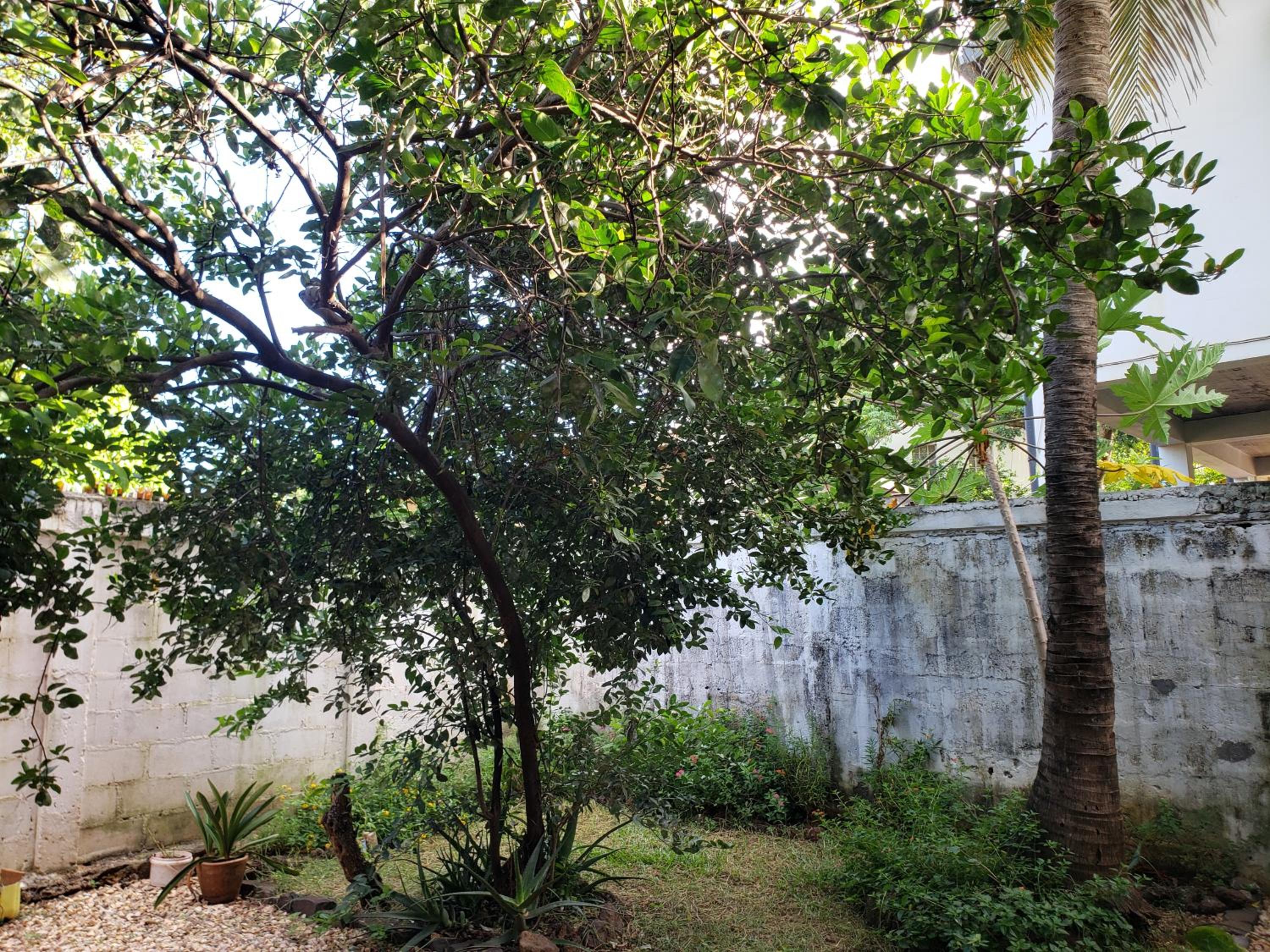 Hotel Le Petit Paradis view 3