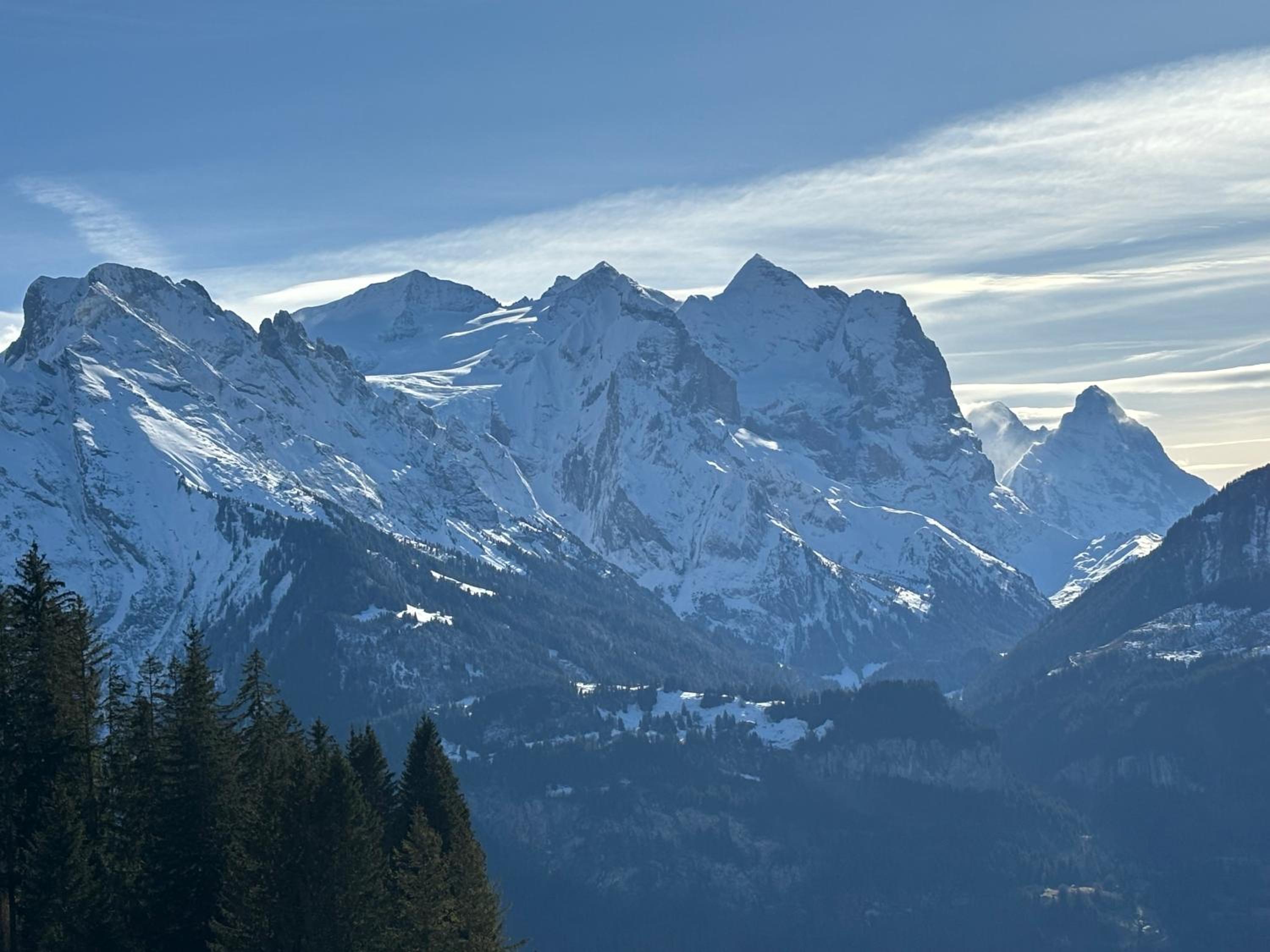 Ferienwohnung im Chalet Bergruh - Hasliberg Reuti
