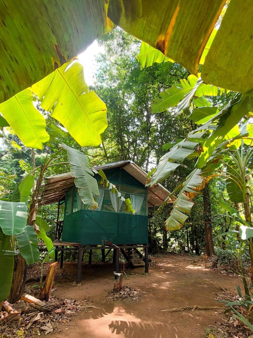 Rio Agujitas Eco-Jungle view 2