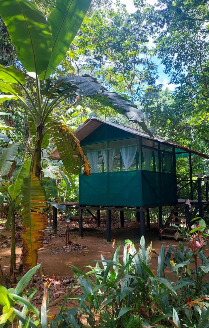 Rio Agujitas Eco-Jungle view 3