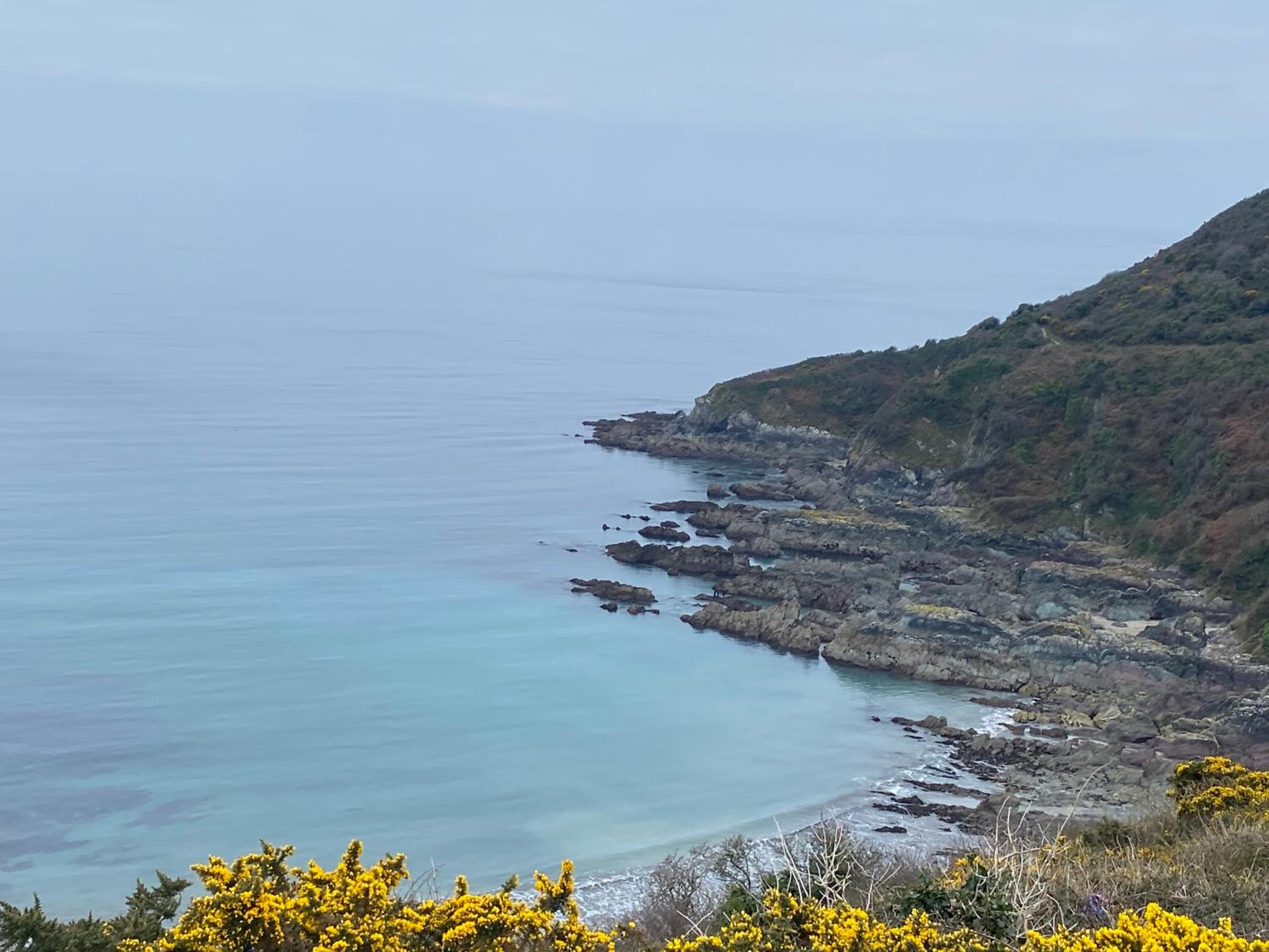 Looe Vacations - Horseshoe Cottage - Property Image 40