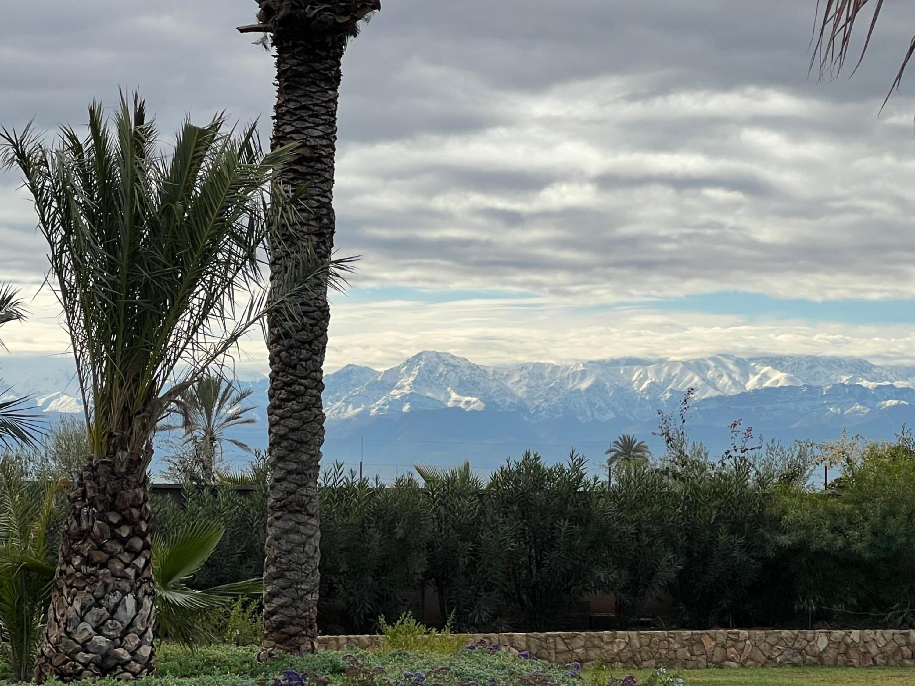 Villa Maria, Luxury Marrakech view 4
