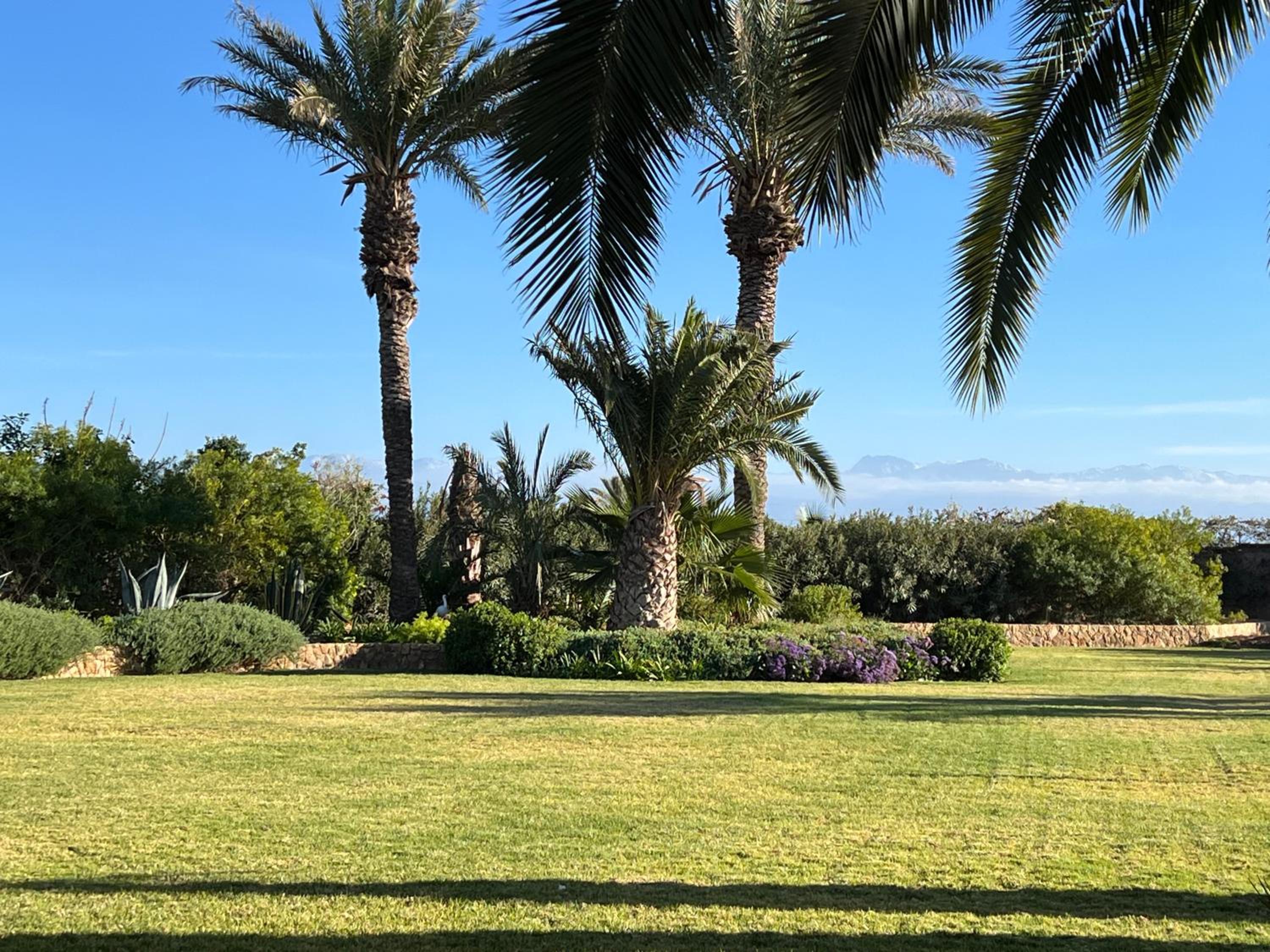 Villa Maria, Luxury Marrakech view 2
