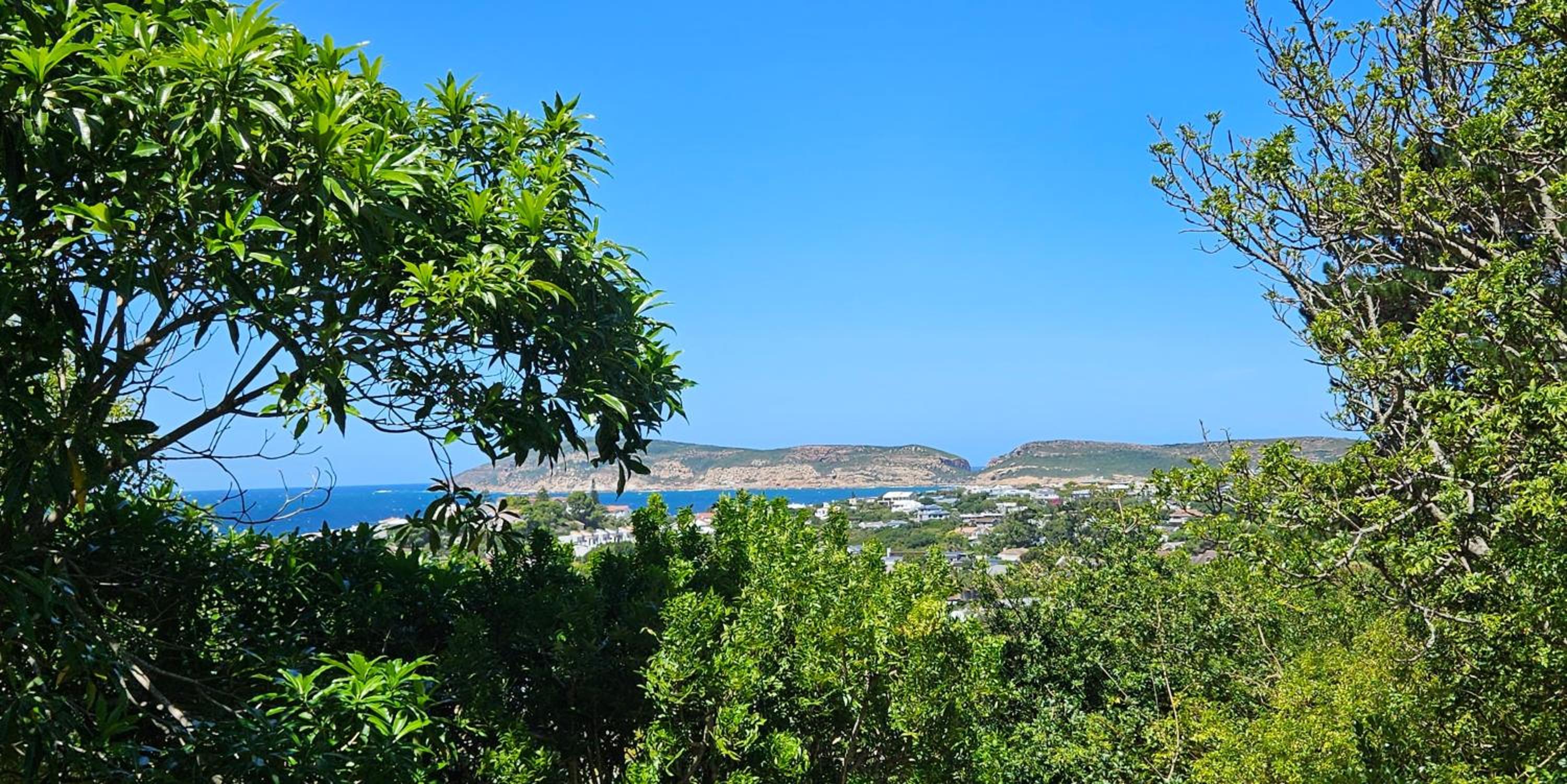 The Holliday Pad view 5