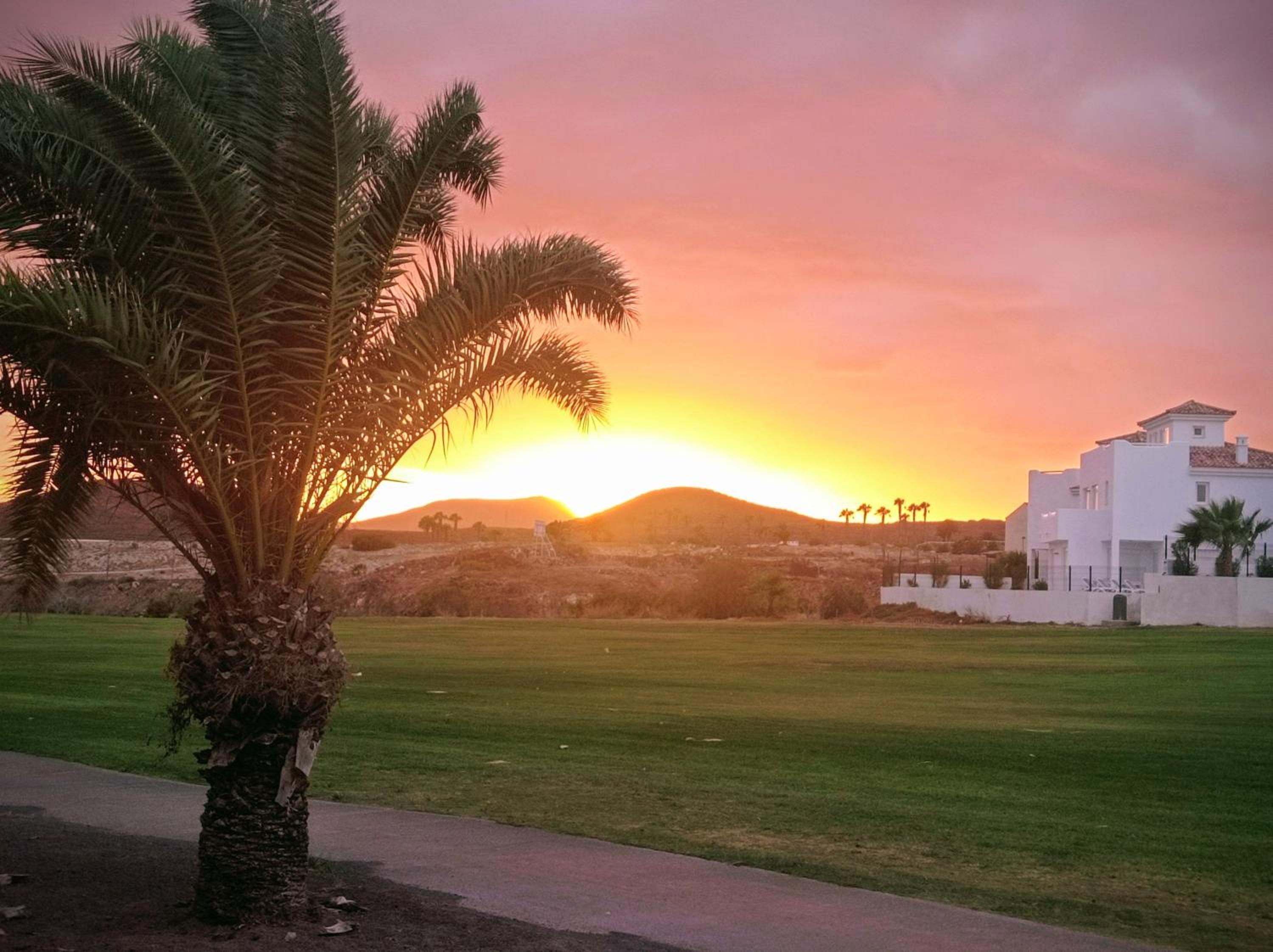 Summer dreams Tenerife