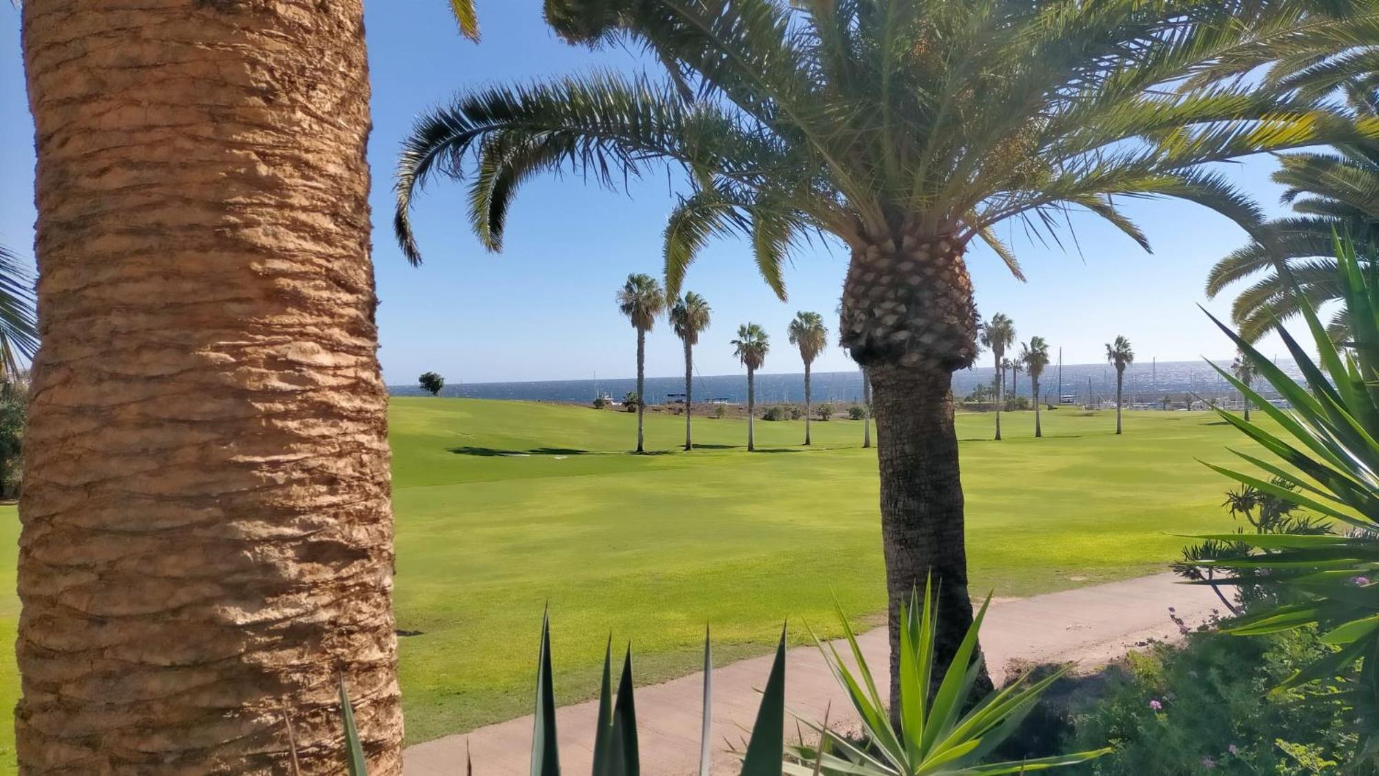 Summer dreams Tenerife