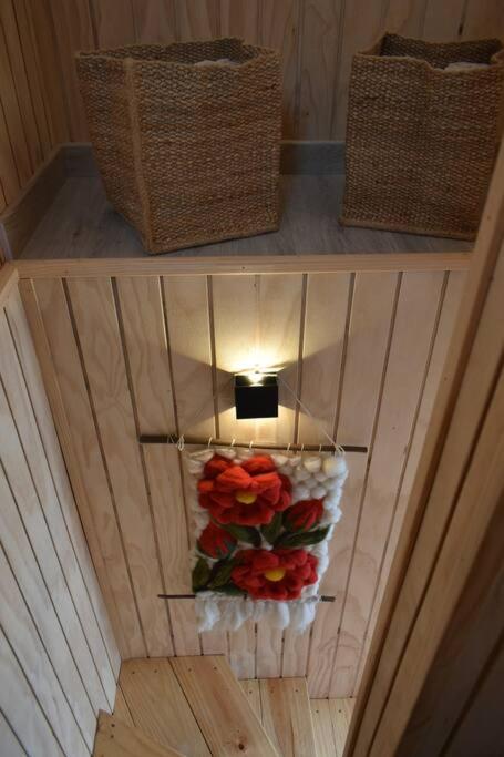Impressive Don Santiago Cabin, Chilean Patagonia.