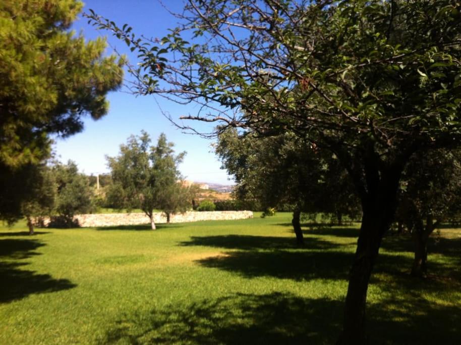 Photo 23