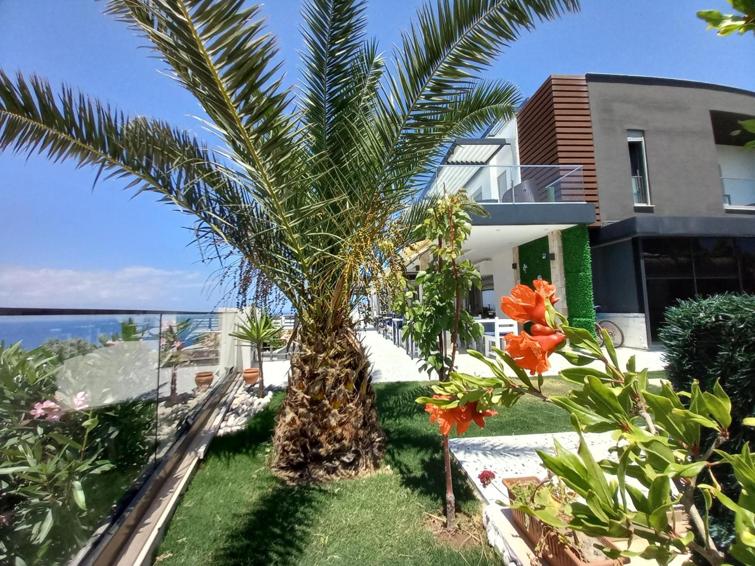 Mavi Panorama Villa - Image 252