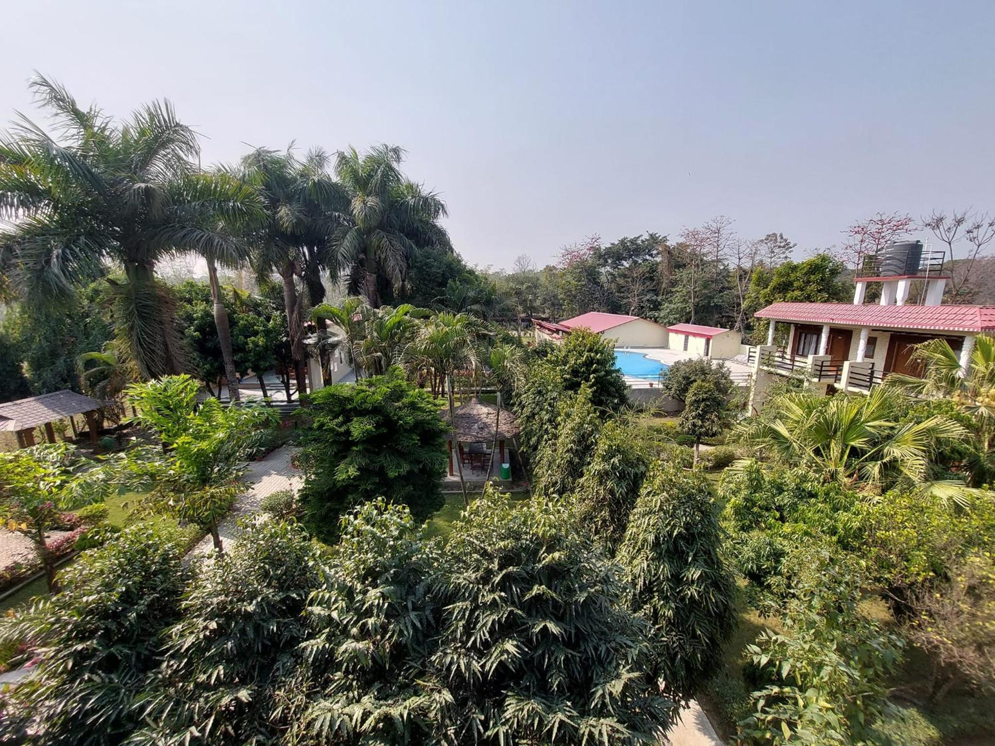 Royal Tiger Luxury Resort view 5