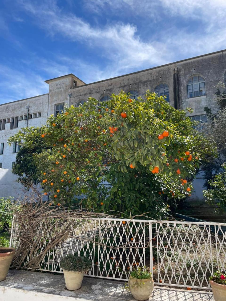 Nomads Hostel Tunisia