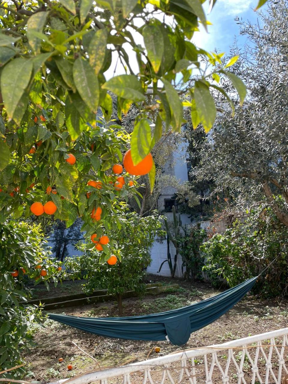 Nomads Hostel Tunisia