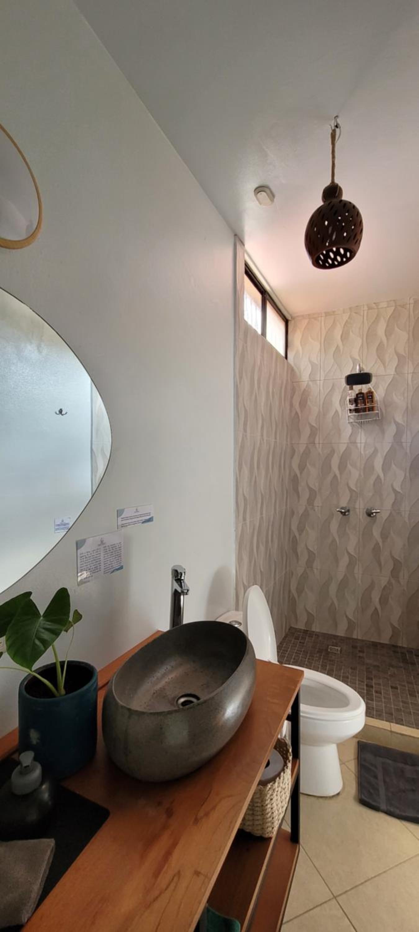 The Stone Elephant - A place to relax in town with Hot Water and a Pool, photo 10