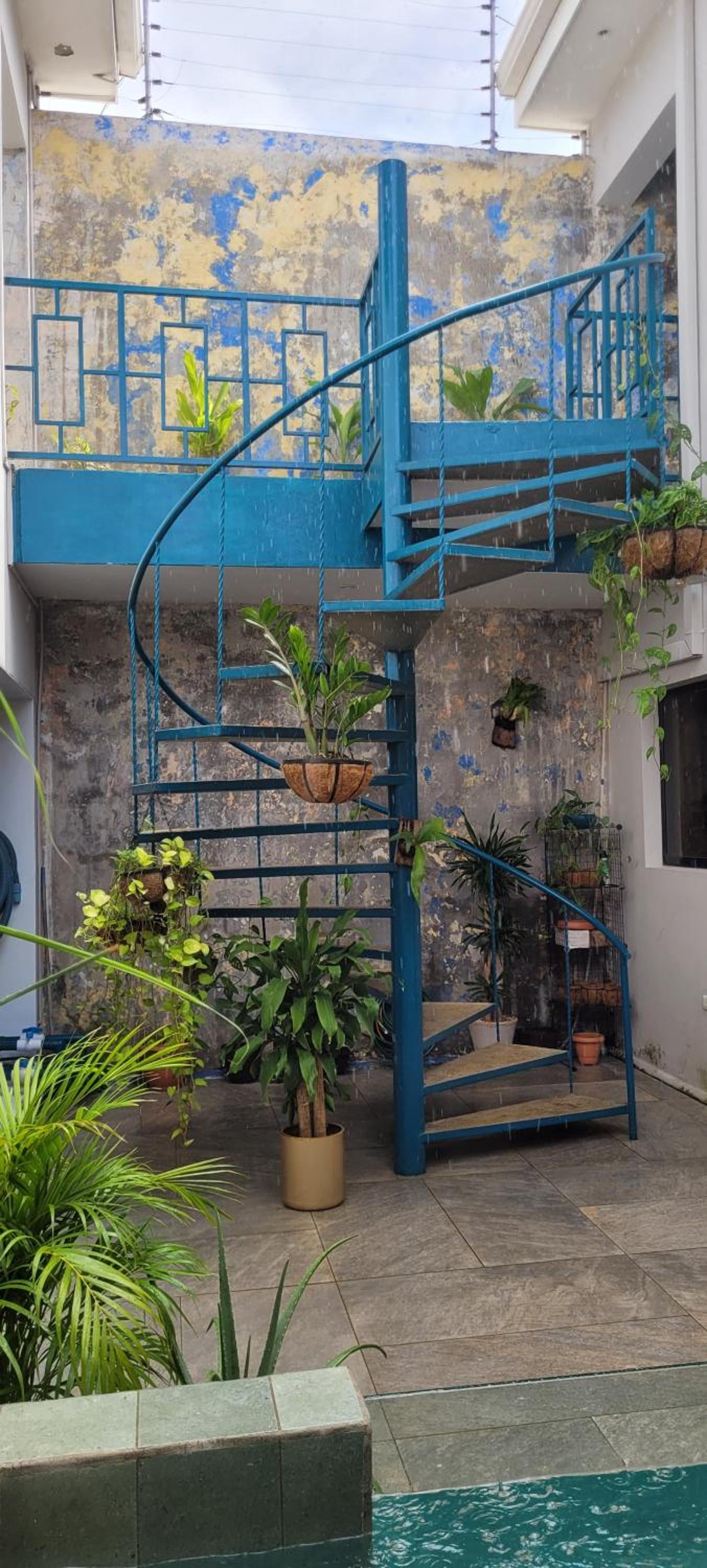 The Stone Elephant - A place to relax in town with Hot Water and a Pool, photo 49