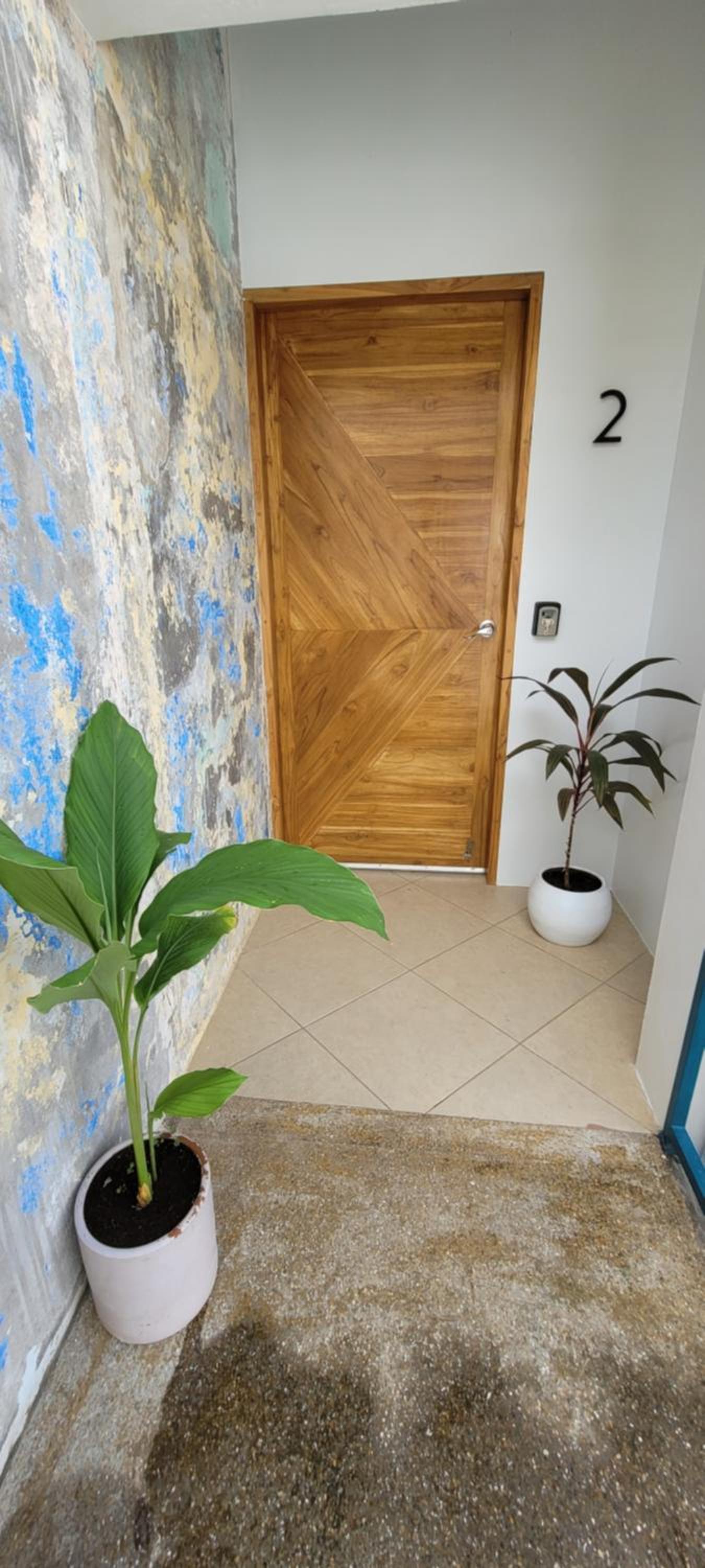 The Stone Elephant - A place to relax in town with Hot Water and a Pool, photo 72