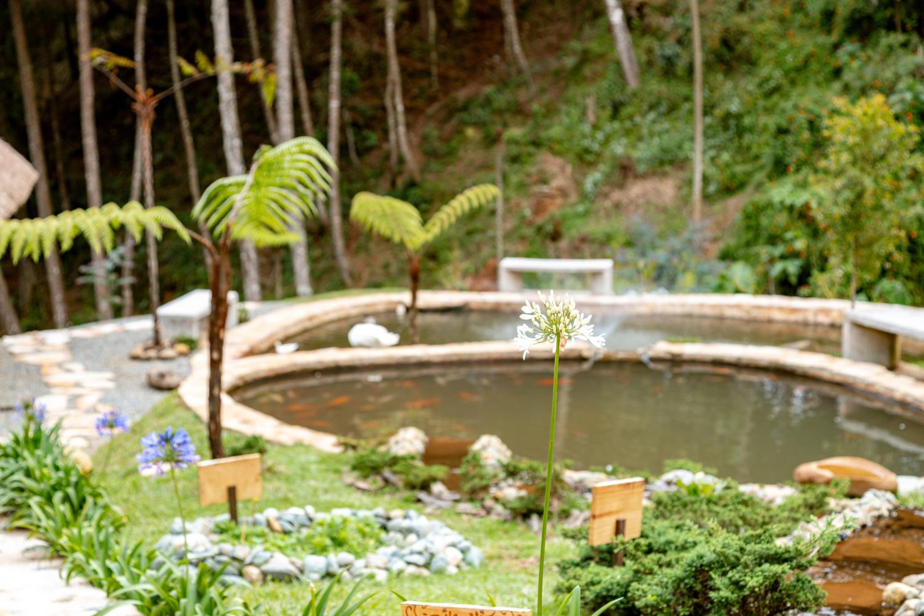 Zen Medellin SATORI