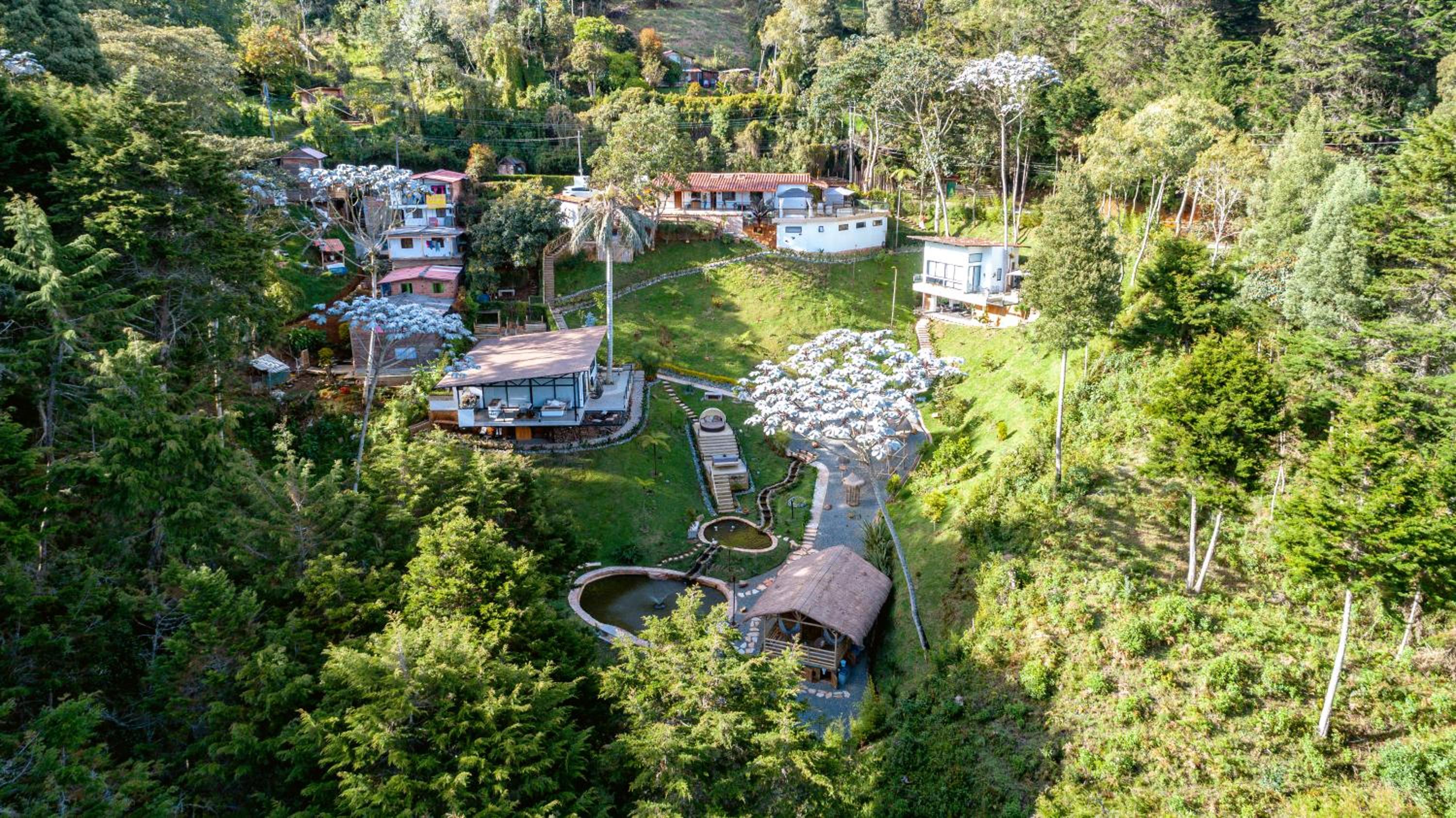 Zen Medellin SATORI