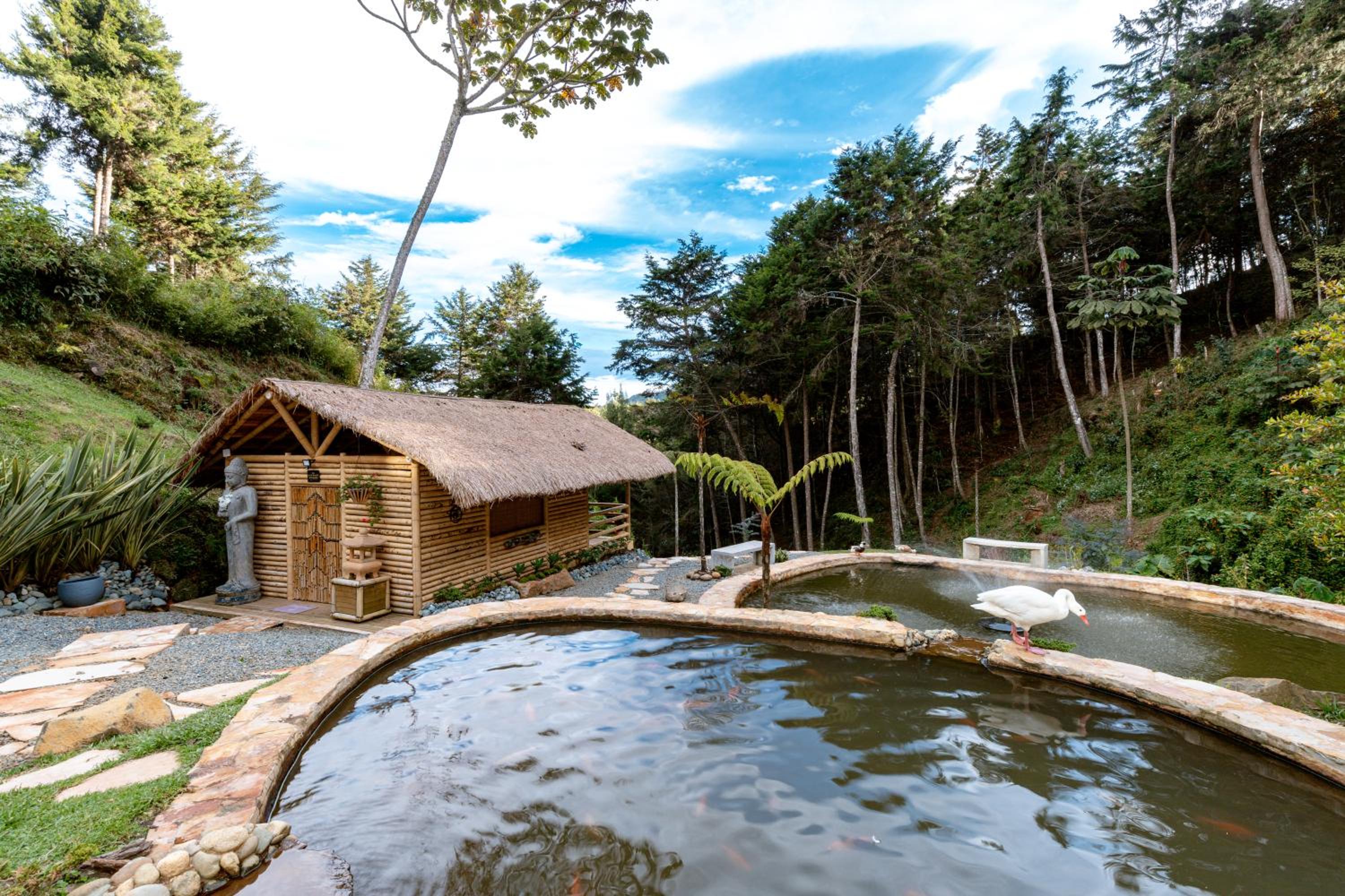 Zen Medellin SATORI