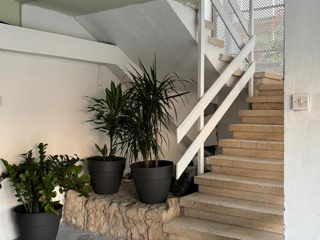 Venus Seaview 2B, Rooftop, PRIME Location, Paphos