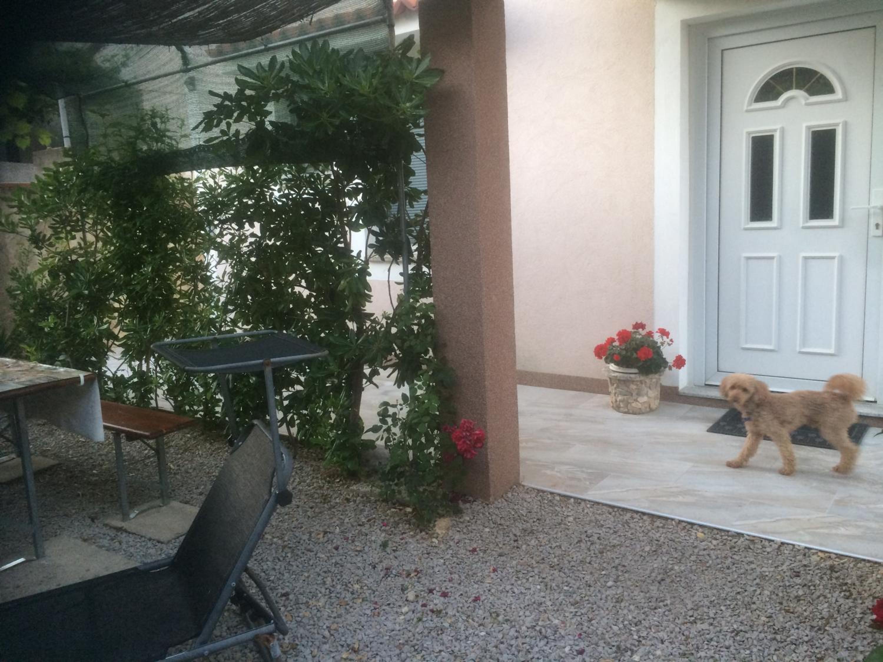 Photo 14