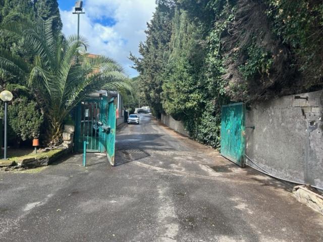 Aurelia Antica ELLE Apartment