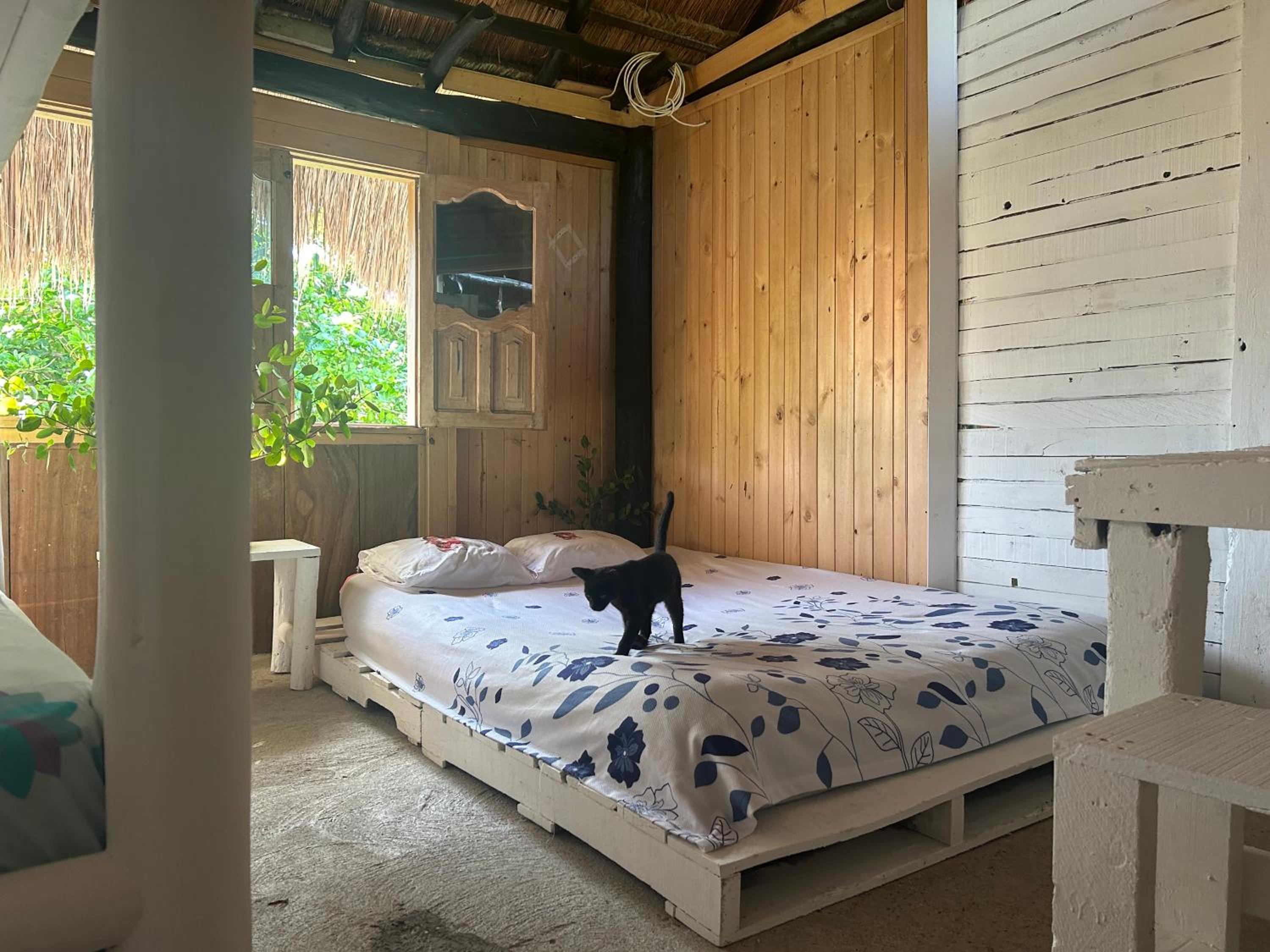 Nature Harmony Retreat in Tierra Bomba - Your Sustainable Escape