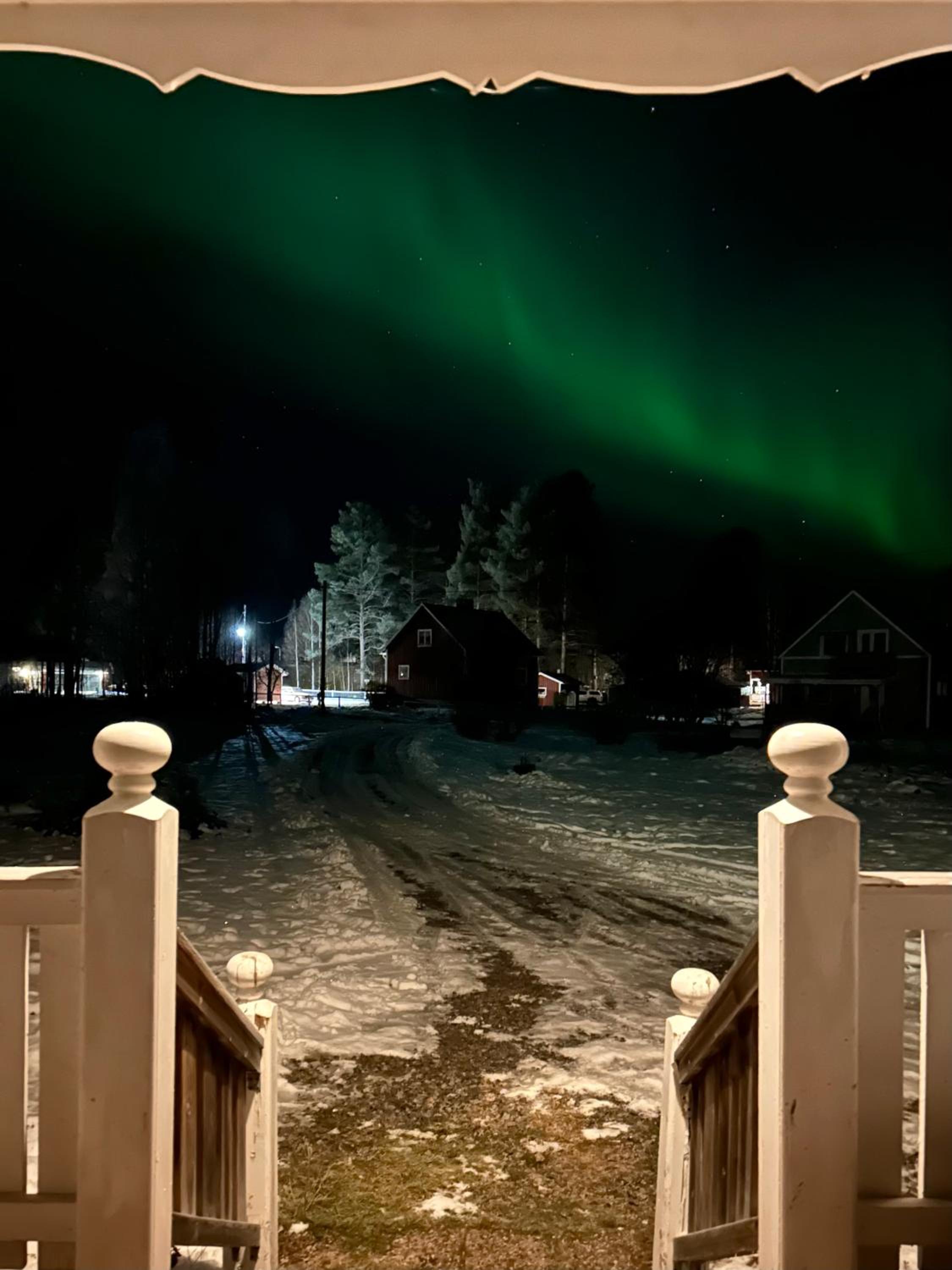 Sixty Six Degrees North - Lapland Home & Forest view 4