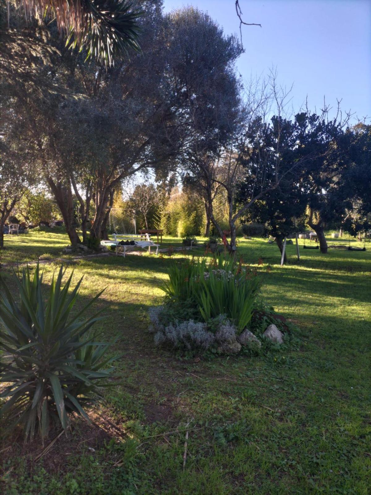 Photo 19