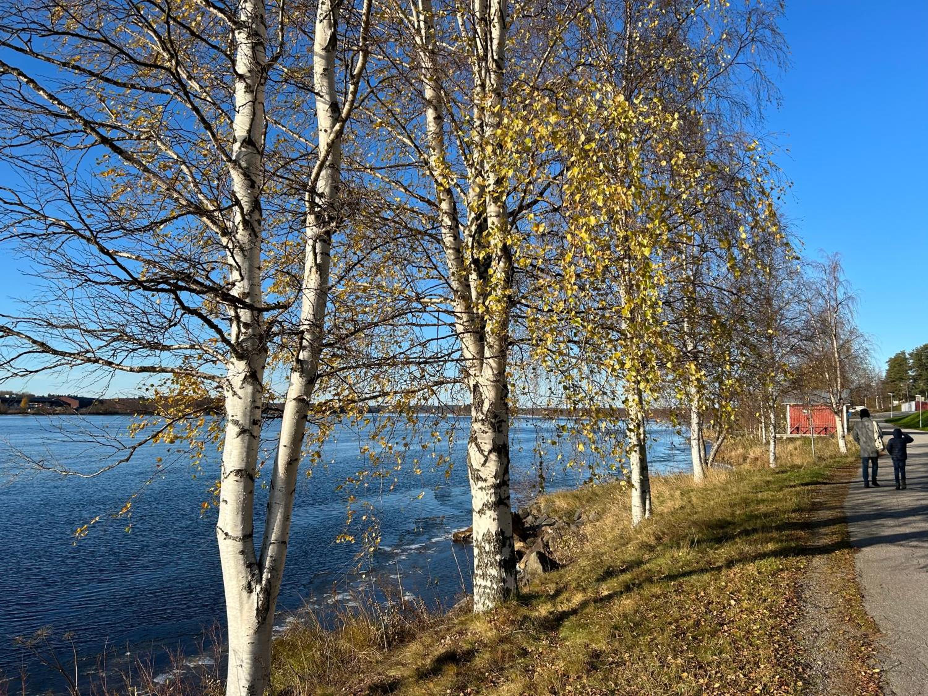 Photo 45