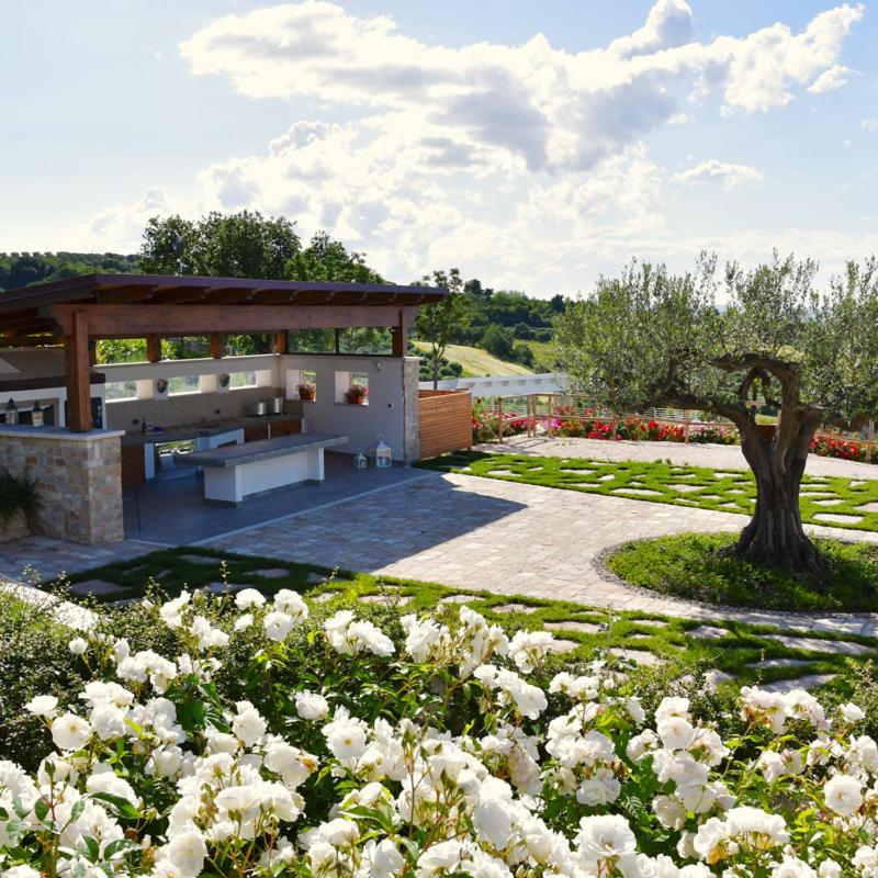 Colle degli ulivi Green Resort view 3