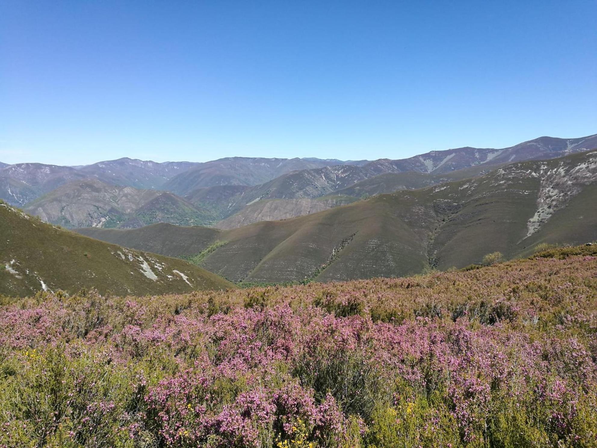 La Cochorla