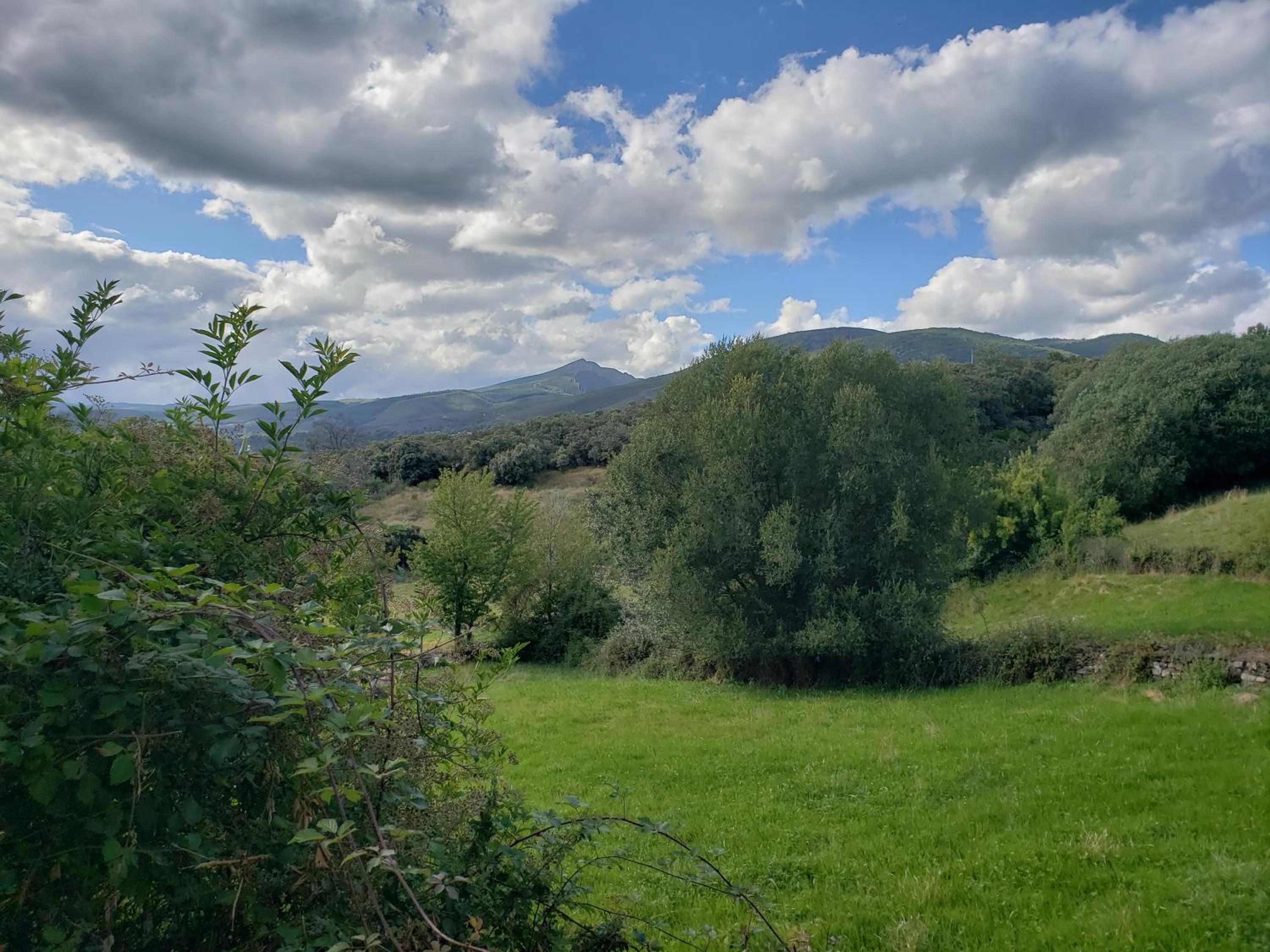 La Cochorla