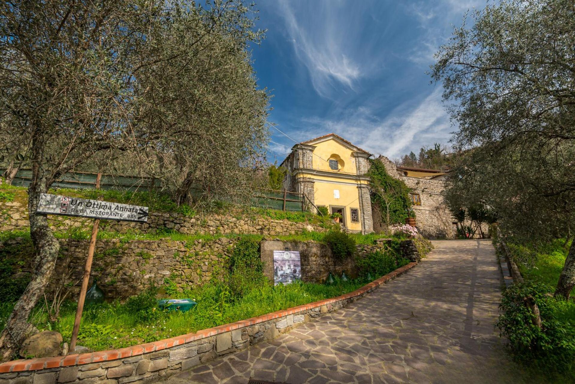 Un'Ottima Annata B&B view 2
