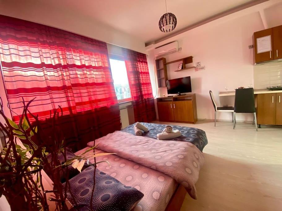 Scala Studio Magheru