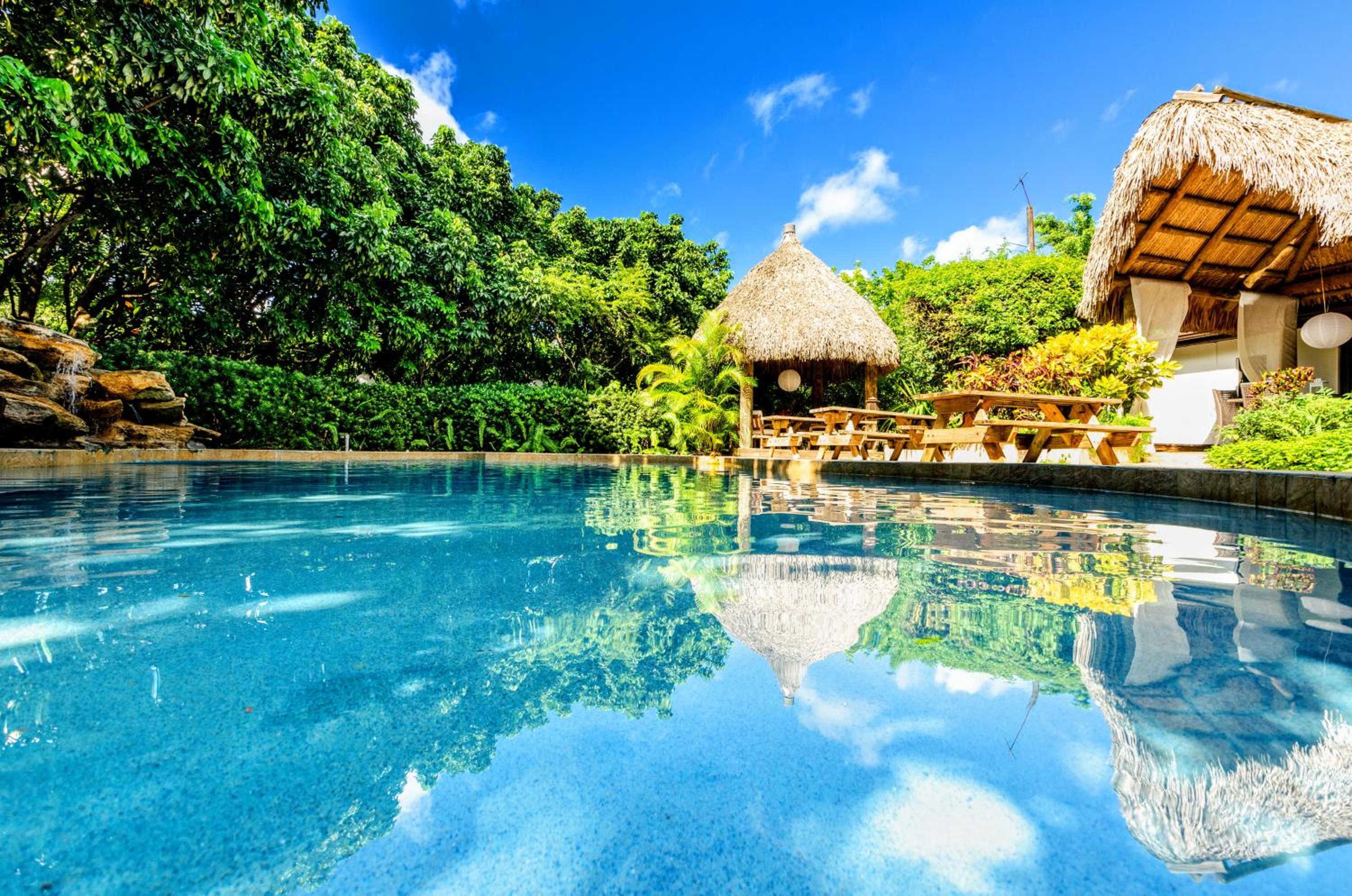 Wonderkoi - Oasis with Pool and Koi Ponds in Miami