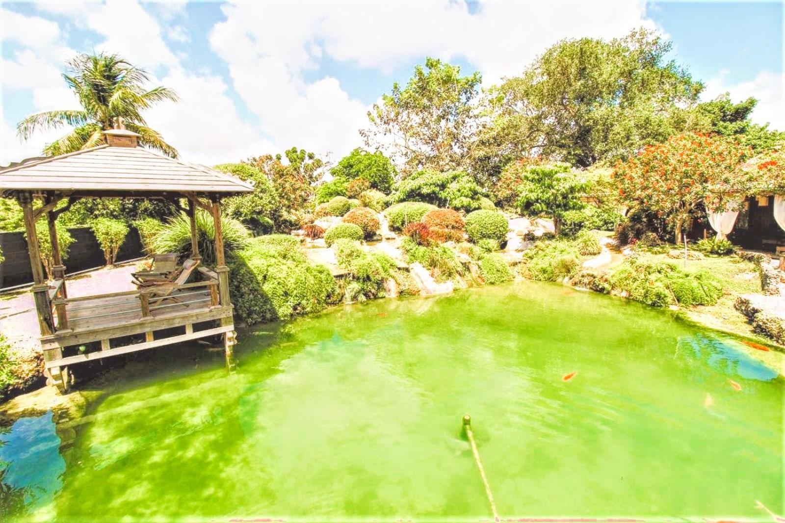 Wonderkoi - Oasis with Pool and Koi Ponds in Miami